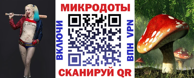 мега как войти  цена   Яранск  Галлюциногенные грибы прущие грибы 